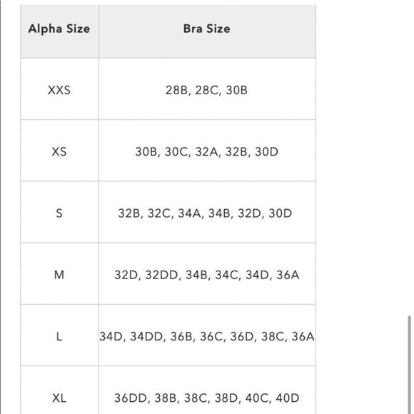 Aerie Nina Blue Floral Push Up Bikini Swim Top Size 34D - Picture 11 of 12